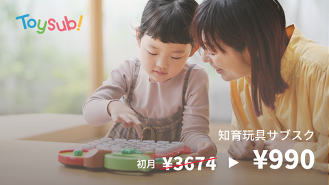 Educational toy subscription service: Toy Sub!