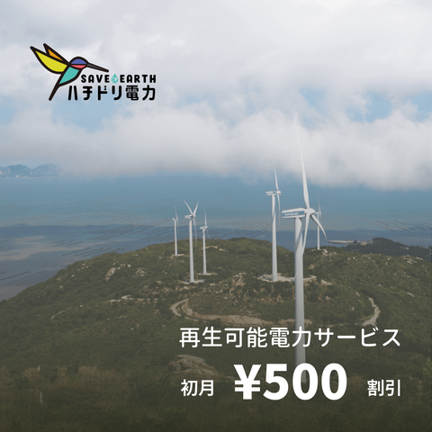 renewable energy electricity