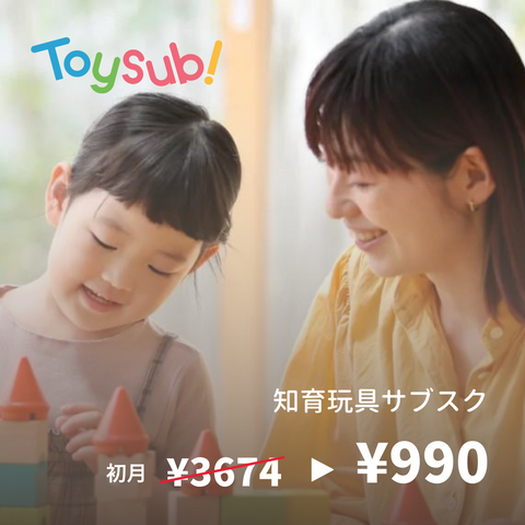 Educational toy subscription service: Toy Sub!